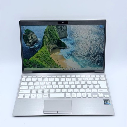 Ultra light vaio - light, sx12