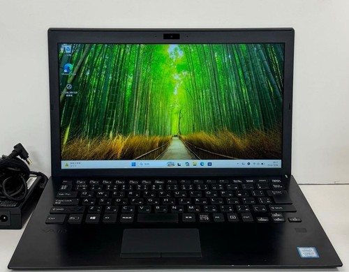 Sony vaio pro - pro, pg